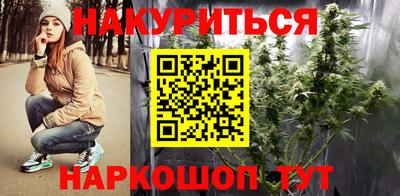 jwh Бийск