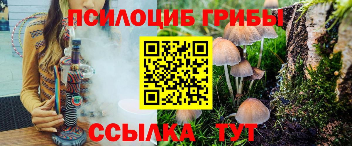 Воронеж  Псилоцибиновые грибы мицелий  Галлюциногенные грибы ЛСД  Вход с VPN 