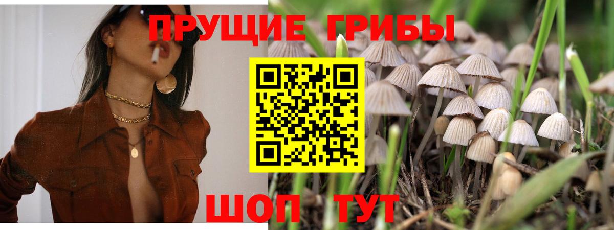 Галлюциногенные грибы Psilocybe  Галлюциногенные грибы ЛСД  где купить   Воронеж 