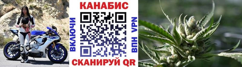 где продают наркотики  Воронеж  OMG зеркало  Бошки марихуана Amnesia 